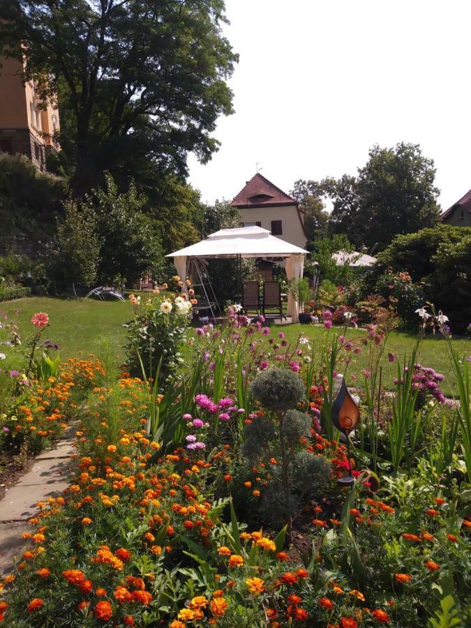 Ferienwohnungen Wilhelm Bad Schandau Exterior foto